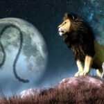 The Daily Horoscope For Each Zodiac Sign On July 7, 2024 — The Moon Is In Leo