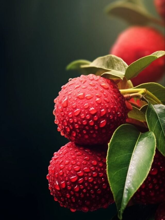 9 Health Benefits of Lychee Fruit : - stickbeverage